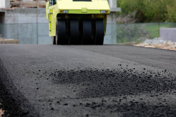 Best Custom Driveway Pavers  in Lake Brownwood, TX