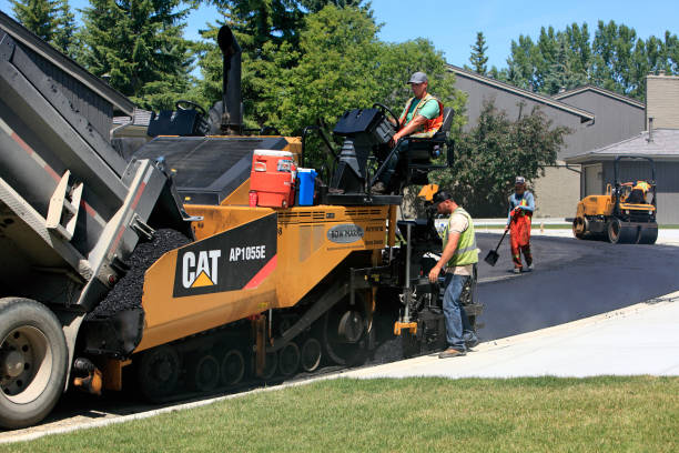 Best Local Driveway Pavers  in Lake Brownwood, TX
